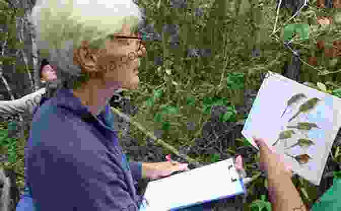 A Group Of Volunteers Engaged In A Bird Conservation Project, Showcasing The Importance Of Responsible Birdwatching How To Watch A Bird (The Ginger 10)