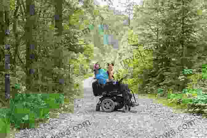 A Wheelchair User Enjoying An Accessible Hiking Trail In Japan. Accessible Travel In Japan: We Provide You With Information Of Accessibility In Japan