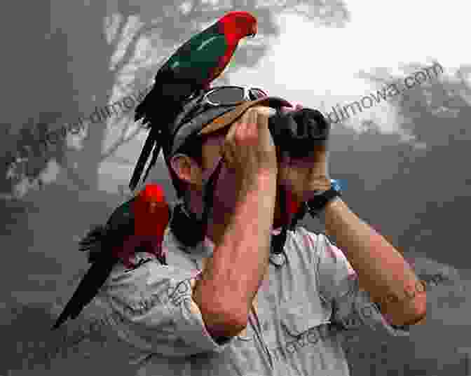 An Image Of A Birder Observing A Bird Through Binoculars. Bird Watching For Beginners: A Beginner S Guide To The Basics Of Birding So That You Can Pick The Right Tools And Go Out And Find And Identify Remarkable Birds Or Attract Them To Your Own Yard