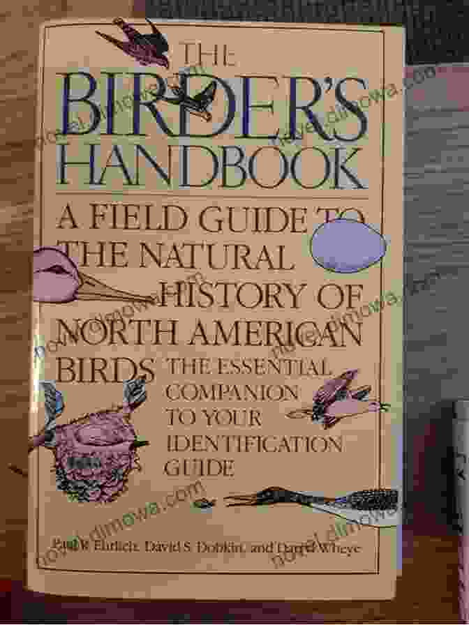 An Image Of A Birder Using A Field Guide To Identify A Bird. Bird Watching For Beginners: A Beginner S Guide To The Basics Of Birding So That You Can Pick The Right Tools And Go Out And Find And Identify Remarkable Birds Or Attract Them To Your Own Yard