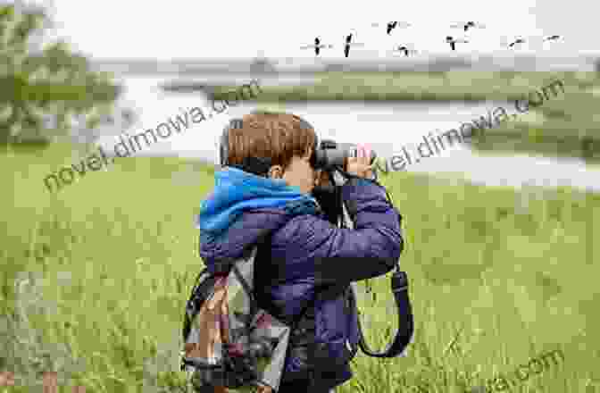 An Image Of A Person Using Binoculars To Observe Birds. Bird Watching For Beginners: A Beginner S Guide To The Basics Of Birding So That You Can Pick The Right Tools And Go Out And Find And Identify Remarkable Birds Or Attract Them To Your Own Yard