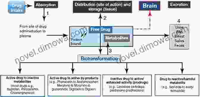 Biotransformations: A Gateway To Pharmaceutical Innovations Biotransformations In Organic Chemistry: A Textbook