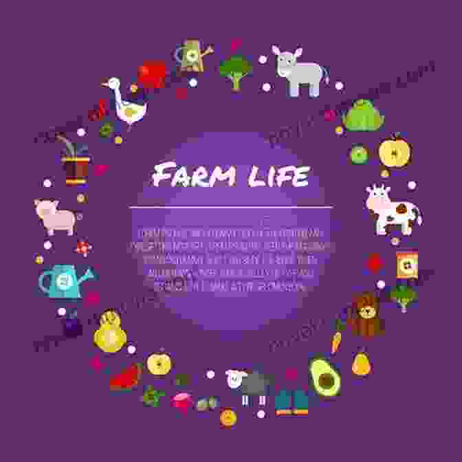 Detailed Illustrations Depicting Various Aspects Of Farm Life Looky Looky: A Sweet Interactive Hide And Seek Adventure Picture For Kids (Featuring Farm And Baby Animals Ocean Themes Things That Go And More ) (Looky Looky Little One)