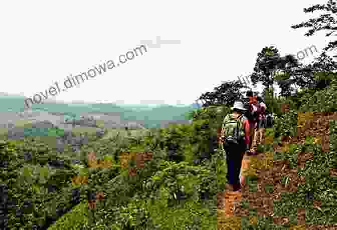 Rainforest Trekking In Chiang Mai, Thailand Chiang Mai (Thai Travel Guide 2)