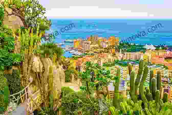 The Jardin Exotique TEN FUN THINGS TO DO IN MONTE CARLO