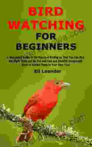 Bird Watching For Beginners: A Beginner S Guide To The Basics Of Birding So That You Can Pick The Right Tools And Go Out And Find And Identify Remarkable Birds Or Attract Them To Your Own Yard