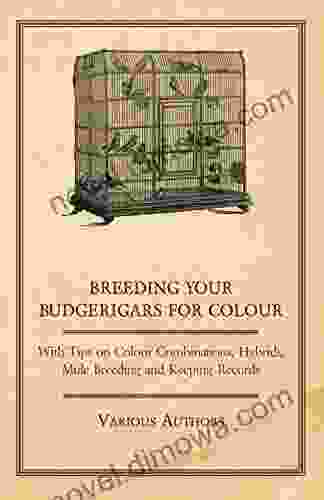 Breeding Your Budgerigars For Colour With Tips On Colour Combinations Hybrids Mule Breeding And Keeping Records