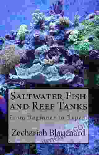 Saltwater Fish And Reef Tanks: From Beginner To Expert