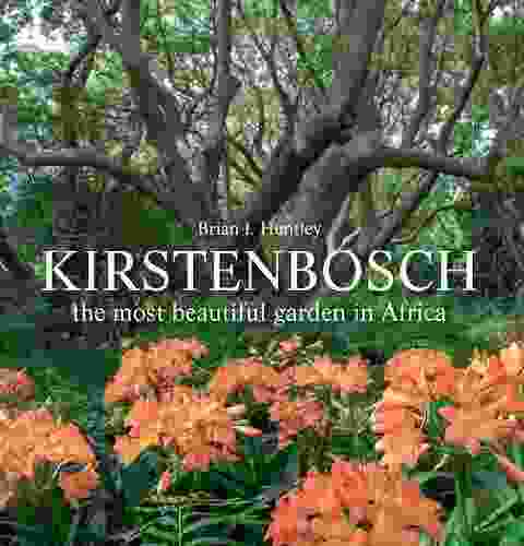 Kirstenbosch The Most Beautiful Garden In Africa