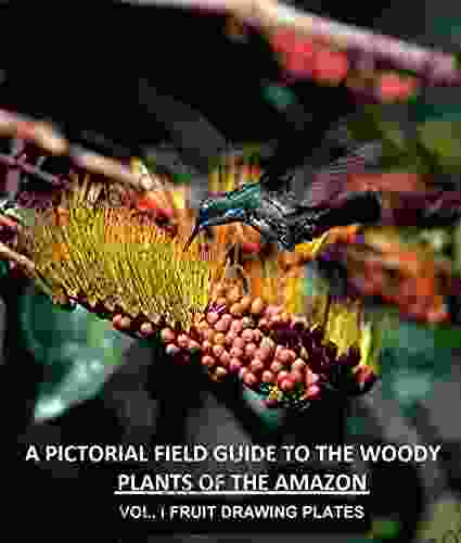 A Pictorial Field Guide To The Woody Plants Of The Amazon VOL I : Fruit Drawing Plates