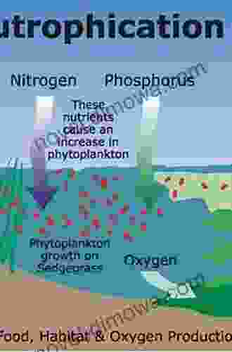 Eutrophication Processes In Coastal Systems: Origin And Succession Of Plankton Blooms And Effects On Secondary Production In Gulf Coast Estuaries (CRC Marine Science 22)