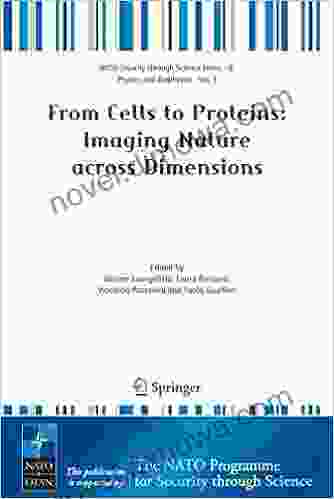 From Cells To Proteins: Imaging Nature Across Dimensions: Proceedings Of The NATO Advanced Study Institute Held In Pisa Italy 12 23 September 2004 (Nato Security Through Science B: 3)